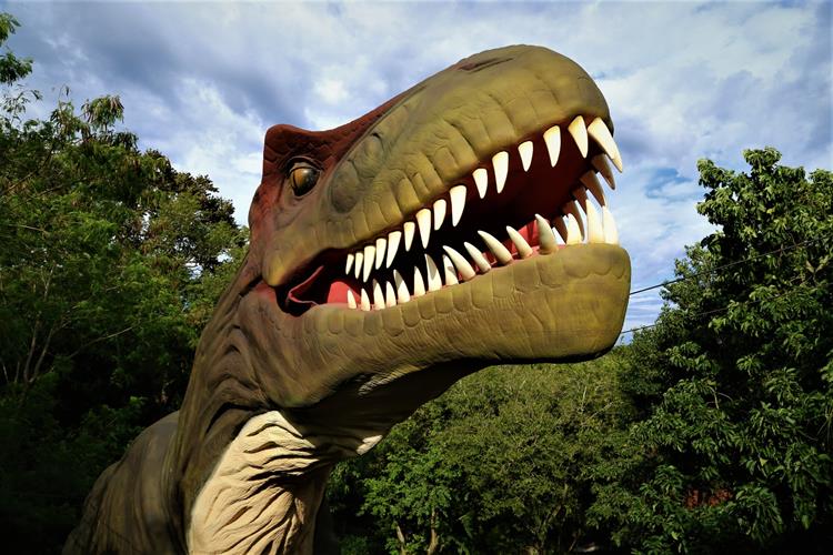 Descoberto novo dinossauro parecido com T-Rex; nome homenageia