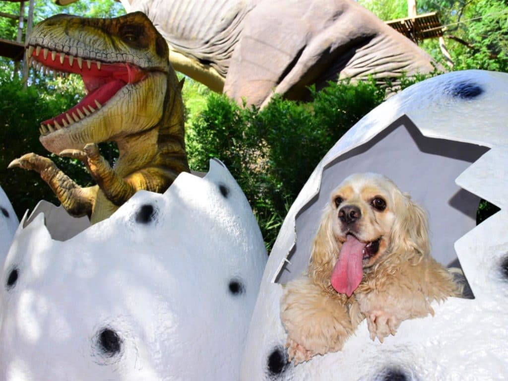 vale dos dinossauros pet friendly