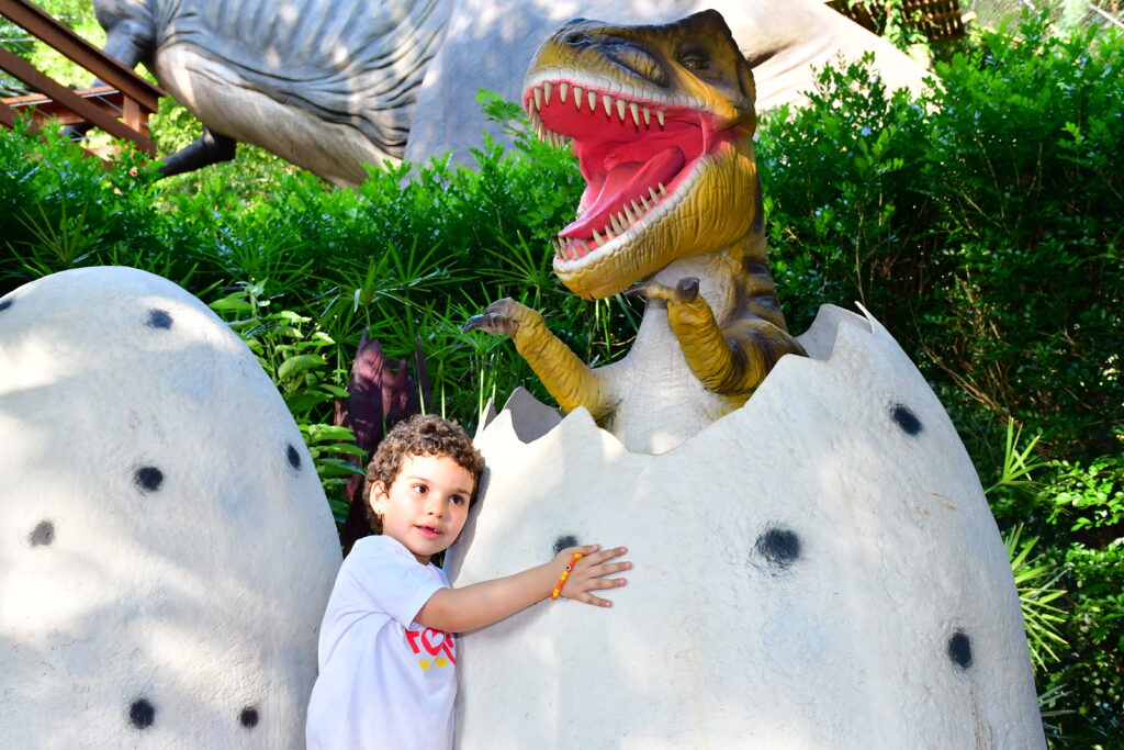 JOGO MANUAL DINOSAUR PARK ADVENTURE