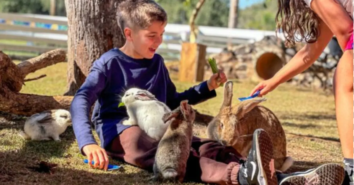 Caoa do Blog: Complexo dreams park show - ecoelho no Eco Park Foz