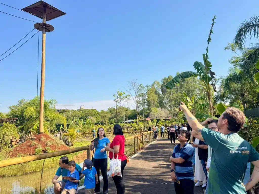 Floresta dos Primatas: primeiro recinto de imersão com macacos do