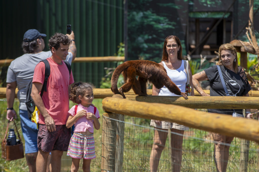Pai e filha observam primata da Floresta dos Primatas no Eco Park Foz