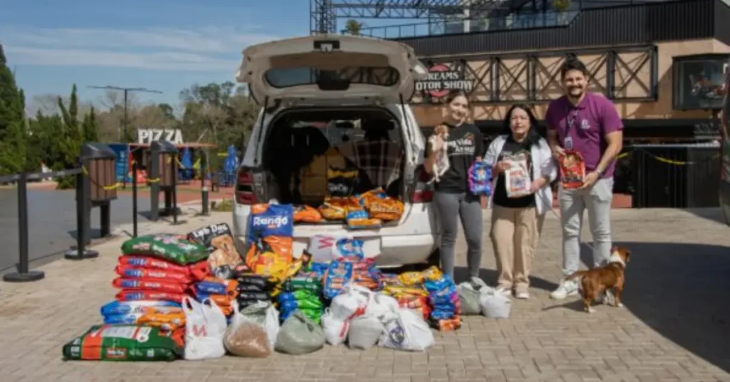 capa da notícia: Patinhas Solidárias Dreams Park Foz campanha