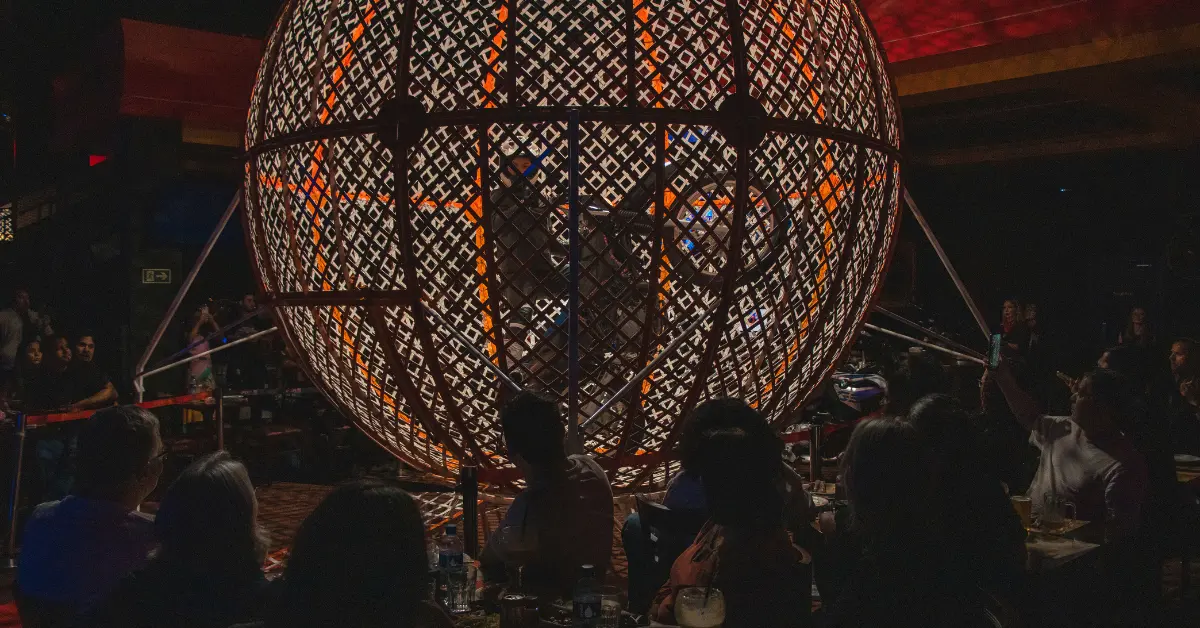 Capa do blog: Dreams Park Novas Atrações - Magic Show