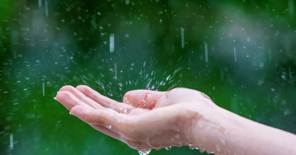 Capa de blog: Chuva em Foz do Iguaçu: o que fazer nos dias chuvosos