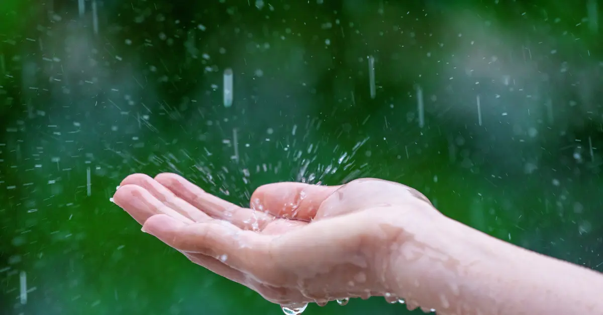 Capa de blog: Chuva em Foz do Iguaçu: o que fazer nos dias chuvosos
